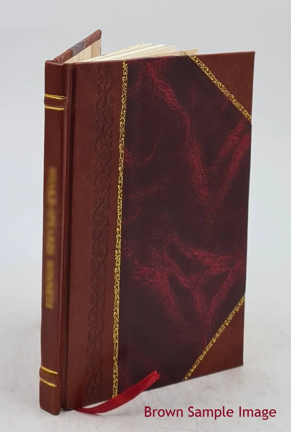 Thickened Illustrations of the Book of Genesis being a complete reproduction in facsimile of the manuscript British Museum, egerton 1894 1921 [Leather Bound]